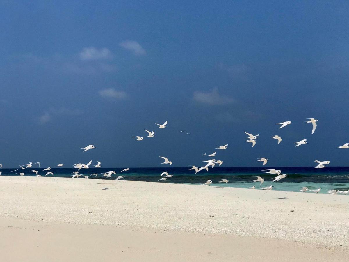 Huvan Inn Fulidhoo Luaran gambar